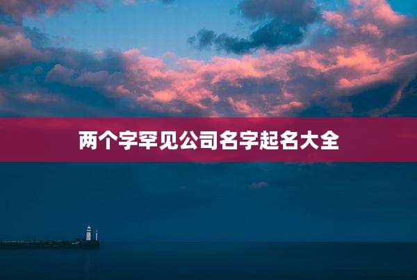 两个字罕见公司名字起名大全