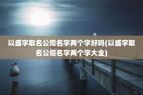 以盛字取名公司名字两个字好吗(以盛字取名公司名字两个字大全)