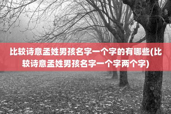 比较诗意孟姓男孩名字一个字的有哪些(比较诗意孟姓男孩名字一个字两个字)