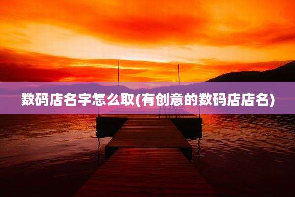 数码店名字怎么取(有创意的数码店店名)