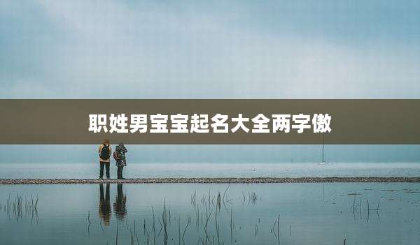 职姓男宝宝起名大全两字傲
