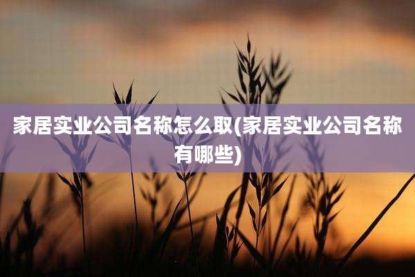 家居实业公司名称怎么取(家居实业公司名称有哪些)