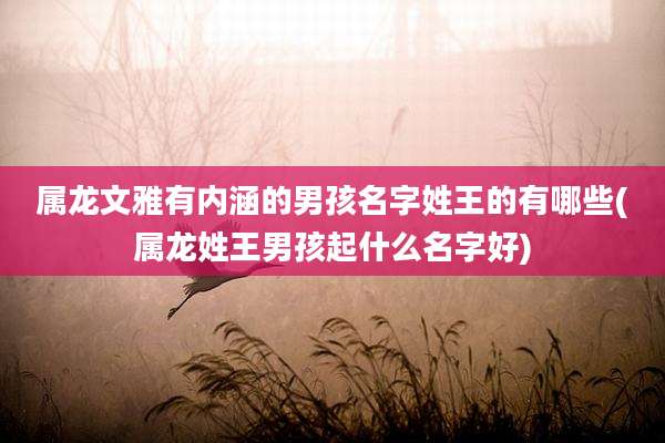 属龙文雅有内涵的男孩名字姓王的有哪些(属龙姓王男孩起什么名字好)
