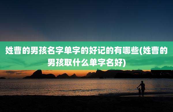 姓曹的男孩名字单字的好记的有哪些(姓曹的男孩取什么单字名好)