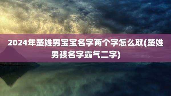 2024年楚姓男宝宝名字两个字怎么取(楚姓男孩名字霸气二字)