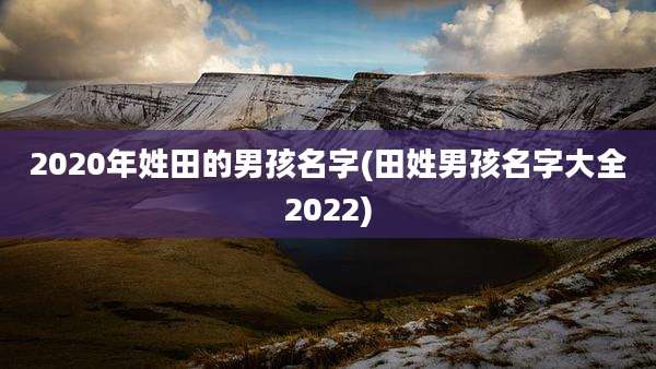 2020年姓田的男孩名字(田姓男孩名字大全2022)