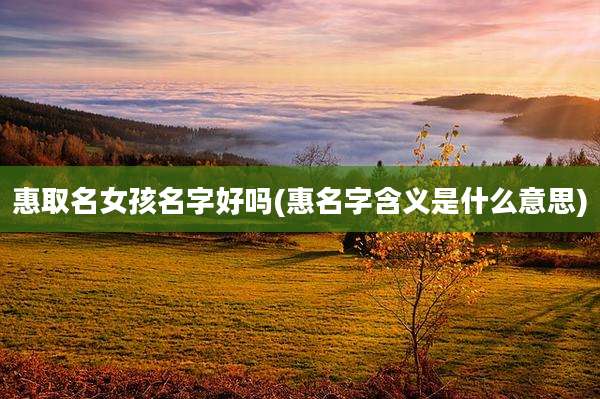 惠取名女孩名字好吗(惠名字含义是什么意思)