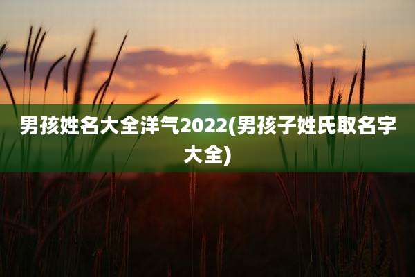 男孩姓名大全洋气2022(男孩子姓氏取名字大全)