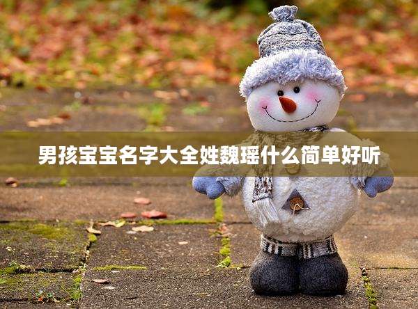 男孩宝宝名字大全姓魏瑶什么简单好听