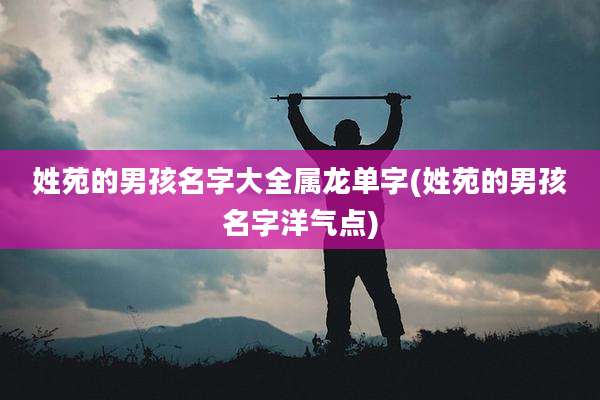 姓苑的男孩名字大全属龙单字(姓苑的男孩名字洋气点)