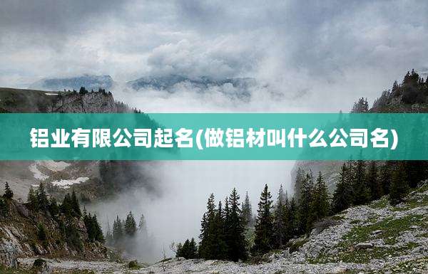 铝业有限公司起名(做铝材叫什么公司名)