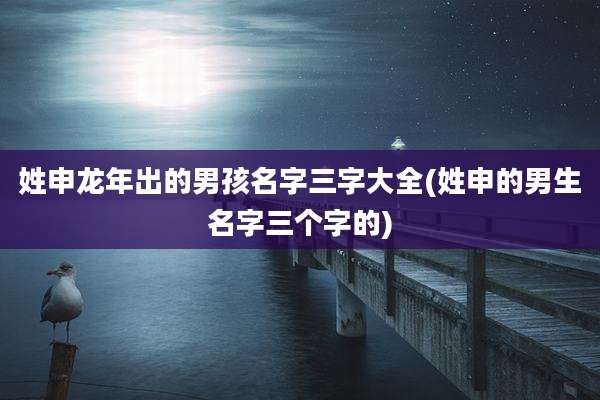 姓申龙年出的男孩名字三字大全(姓申的男生名字三个字的)