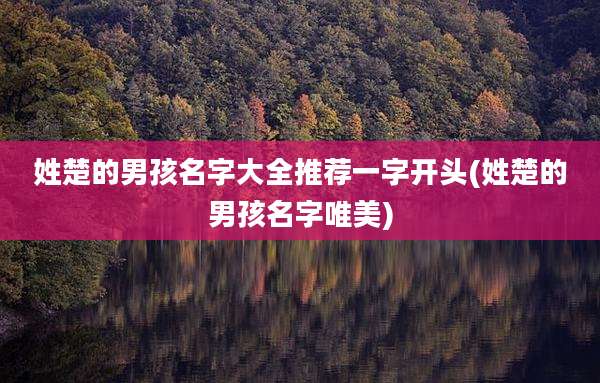 姓楚的男孩名字大全推荐一字开头(姓楚的男孩名字唯美)