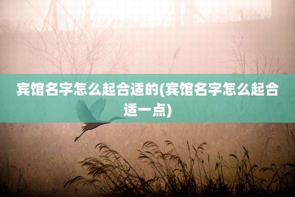 宾馆名字怎么起合适的(宾馆名字怎么起合适一点)