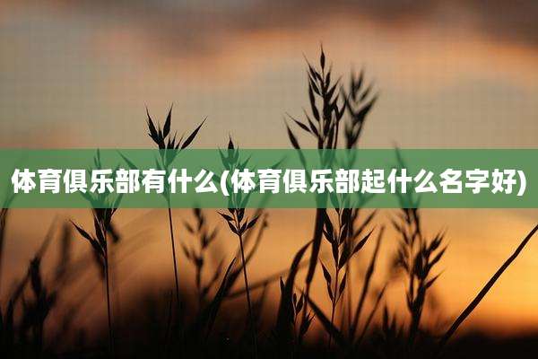 体育俱乐部有什么(体育俱乐部起什么名字好)