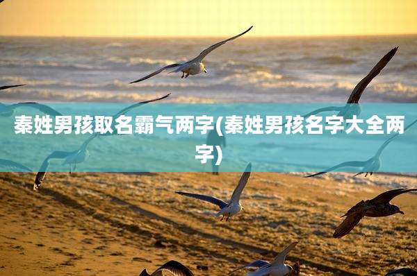 秦姓男孩取名霸气两字(秦姓男孩名字大全两字)