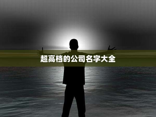 超高档的公司名字大全