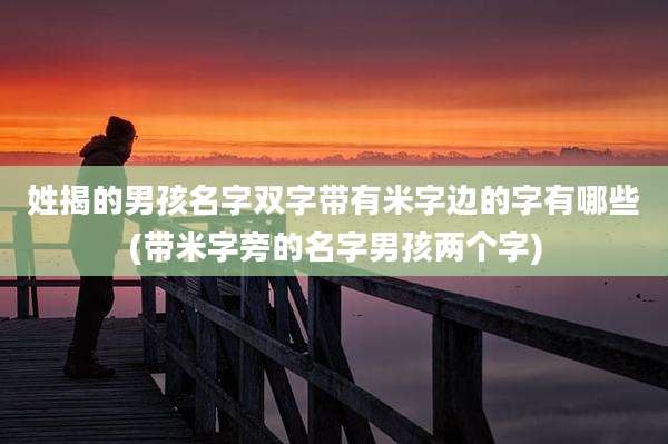 姓揭的男孩名字双字带有米字边的字有哪些(带米字旁的名字男孩两个字)