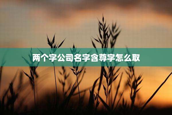 两个字公司名字含尊字怎么取