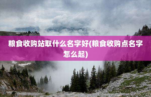 粮食收购站取什么名字好(粮食收购点名字怎么起)
