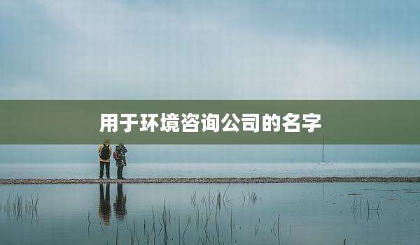 用于环境咨询公司的名字