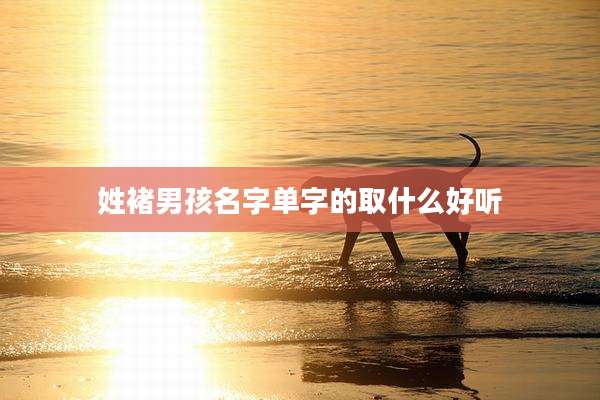 姓褚男孩名字单字的取什么好听
