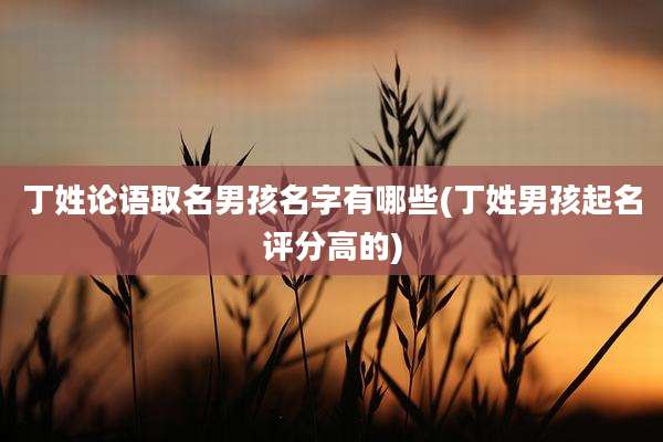 丁姓论语取名男孩名字有哪些(丁姓男孩起名评分高的)