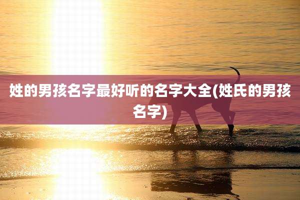 姓的男孩名字最好听的名字大全(姓氏的男孩名字)