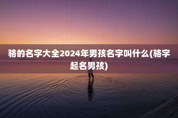 骆的名字大全2024年男孩名字叫什么(骆字起名男孩)