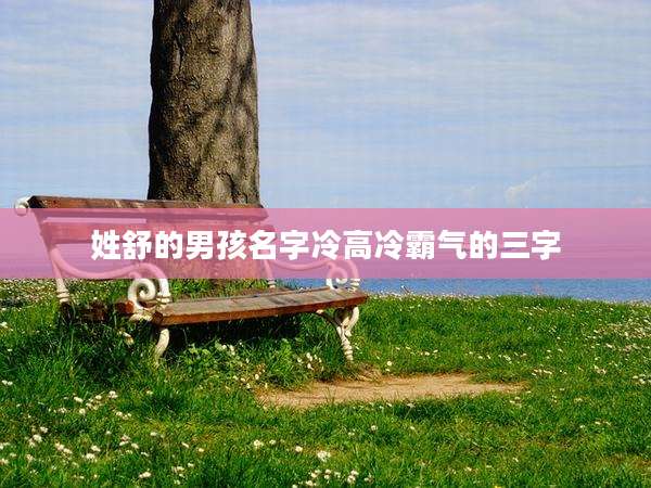 姓舒的男孩名字冷高冷霸气的三字