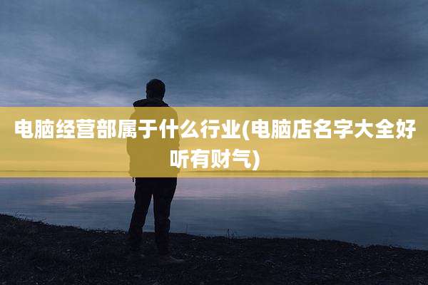 电脑经营部属于什么行业(电脑店名字大全好听有财气)