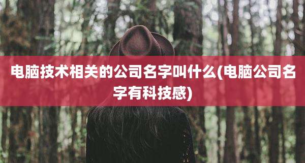 电脑技术相关的公司名字叫什么(电脑公司名字有科技感)