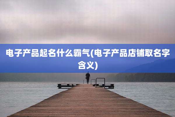 电子产品起名什么霸气(电子产品店铺取名字含义)