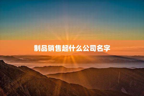制品销售起什么公司名字