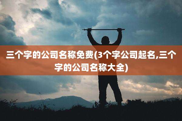 三个字的公司名称免费(3个字公司起名,三个字的公司名称大全)