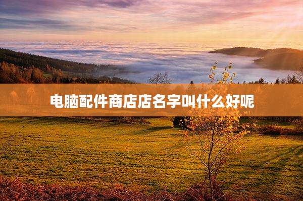 电脑配件商店店名字叫什么好呢