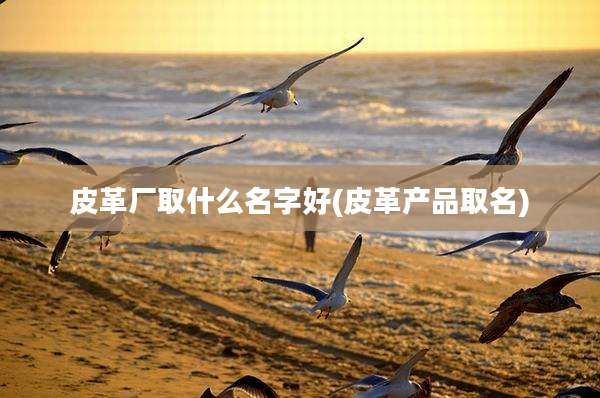 皮革厂取什么名字好(皮革产品取名)