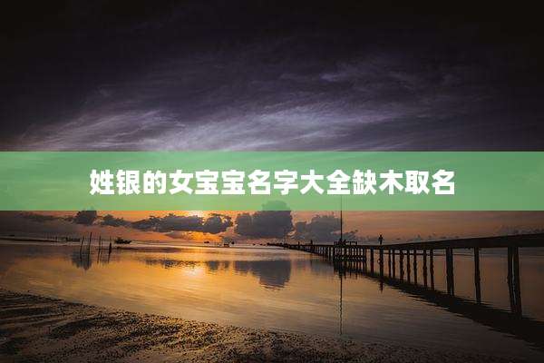 姓银的女宝宝名字大全缺木取名