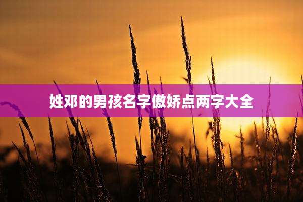 姓邓的男孩名字傲娇点两字大全