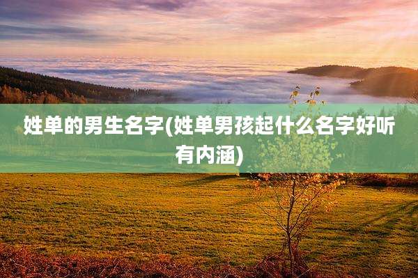 姓单的男生名字(姓单男孩起什么名字好听有内涵)