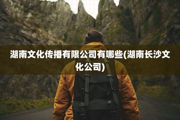 湖南文化传播有限公司有哪些(湖南长沙文化公司)