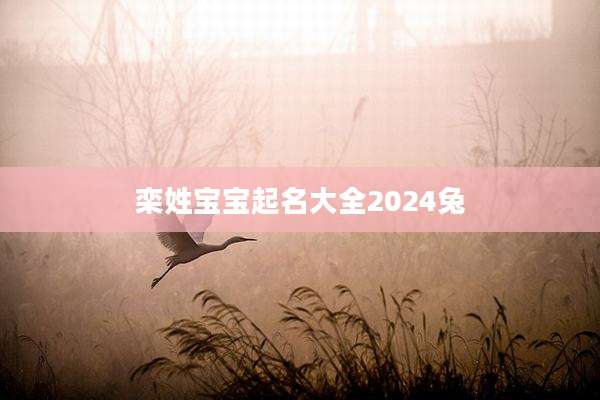 栾姓宝宝起名大全2024兔