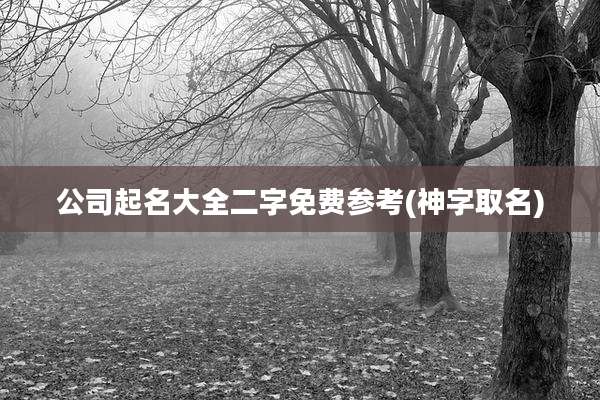 公司起名大全二字免费参考(神字取名)