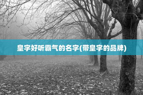 皇字好听霸气的名字(带皇字的品牌)