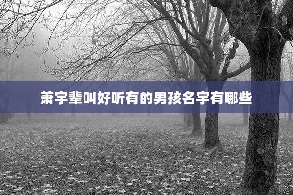 萧字辈叫好听有的男孩名字有哪些