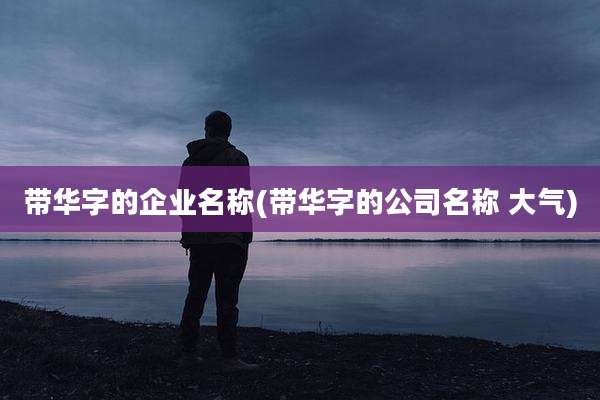 带华字的企业名称(带华字的公司名称 大气)