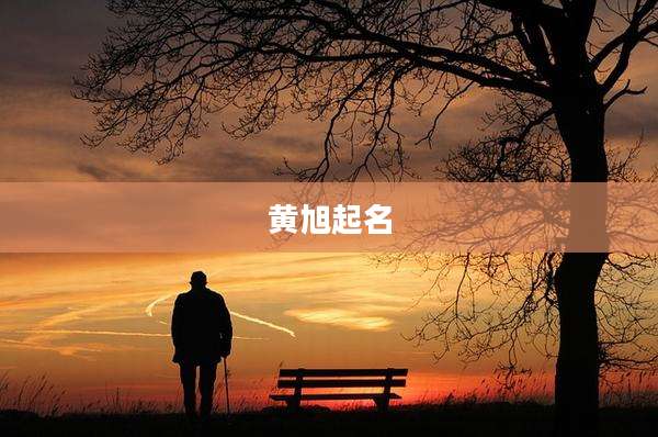黄旭起名