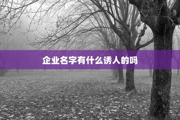 企业名字有什么诱人的吗