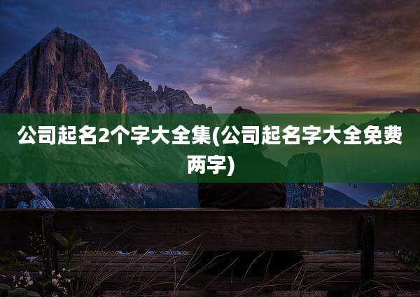 公司起名2个字大全集(公司起名字大全免费两字)