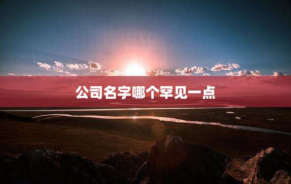 公司名字哪个罕见一点